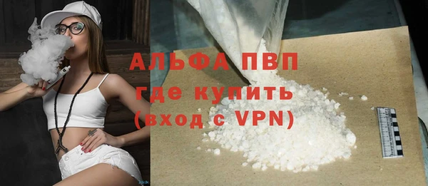 стафф Алексин