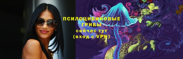 твердый Приозерск