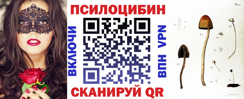 Галлюциногенные грибы Psilocybine cubensis наркота OMG как войти Инсар